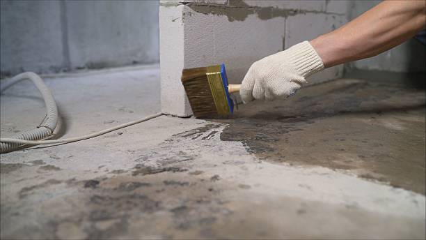 24/7 Emergency Vapor Barrier Installation experts in Lake Odessa, MI